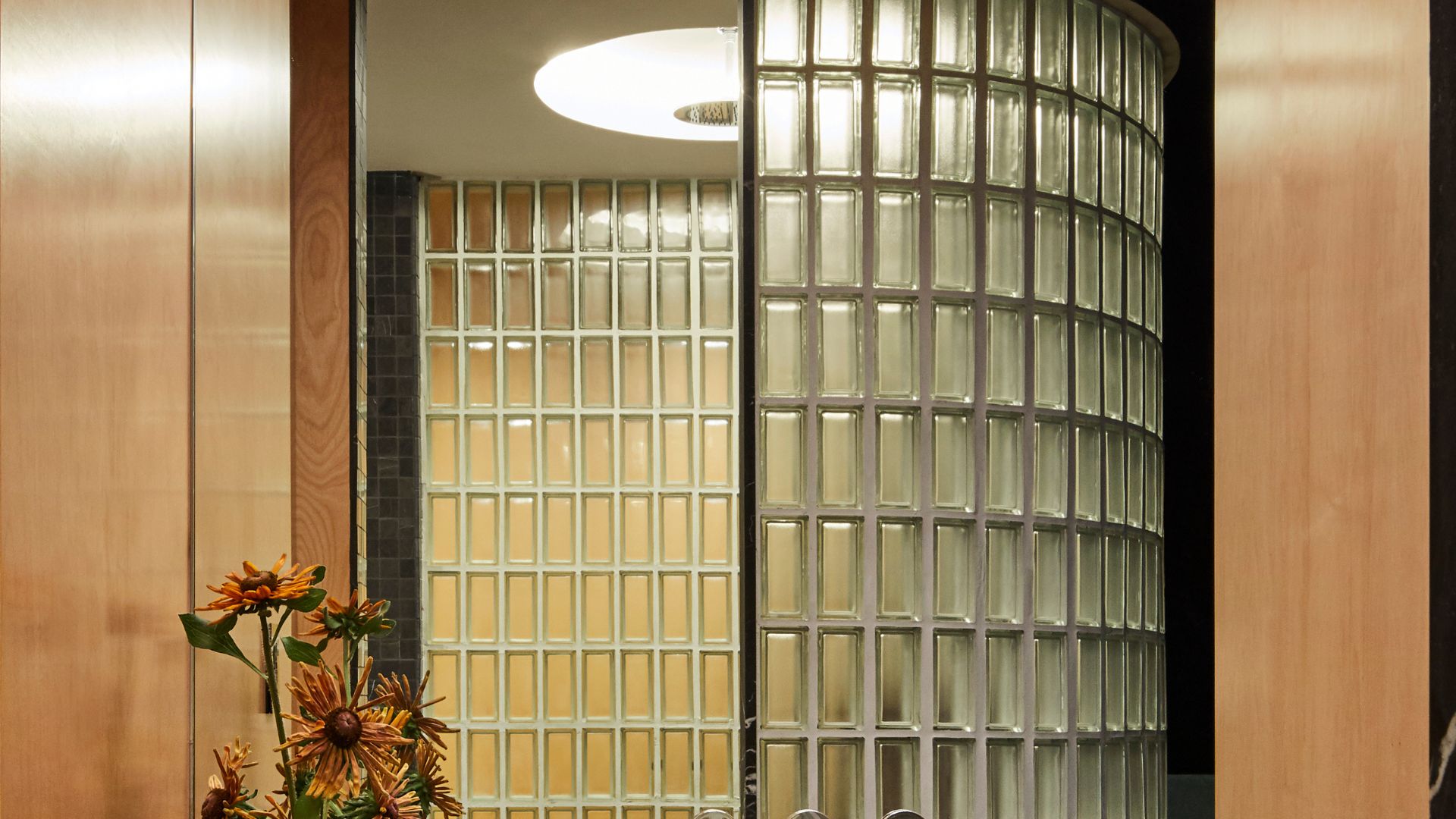 A bathroom with glass blocks and a light well as well as a plant outside of the bathroom