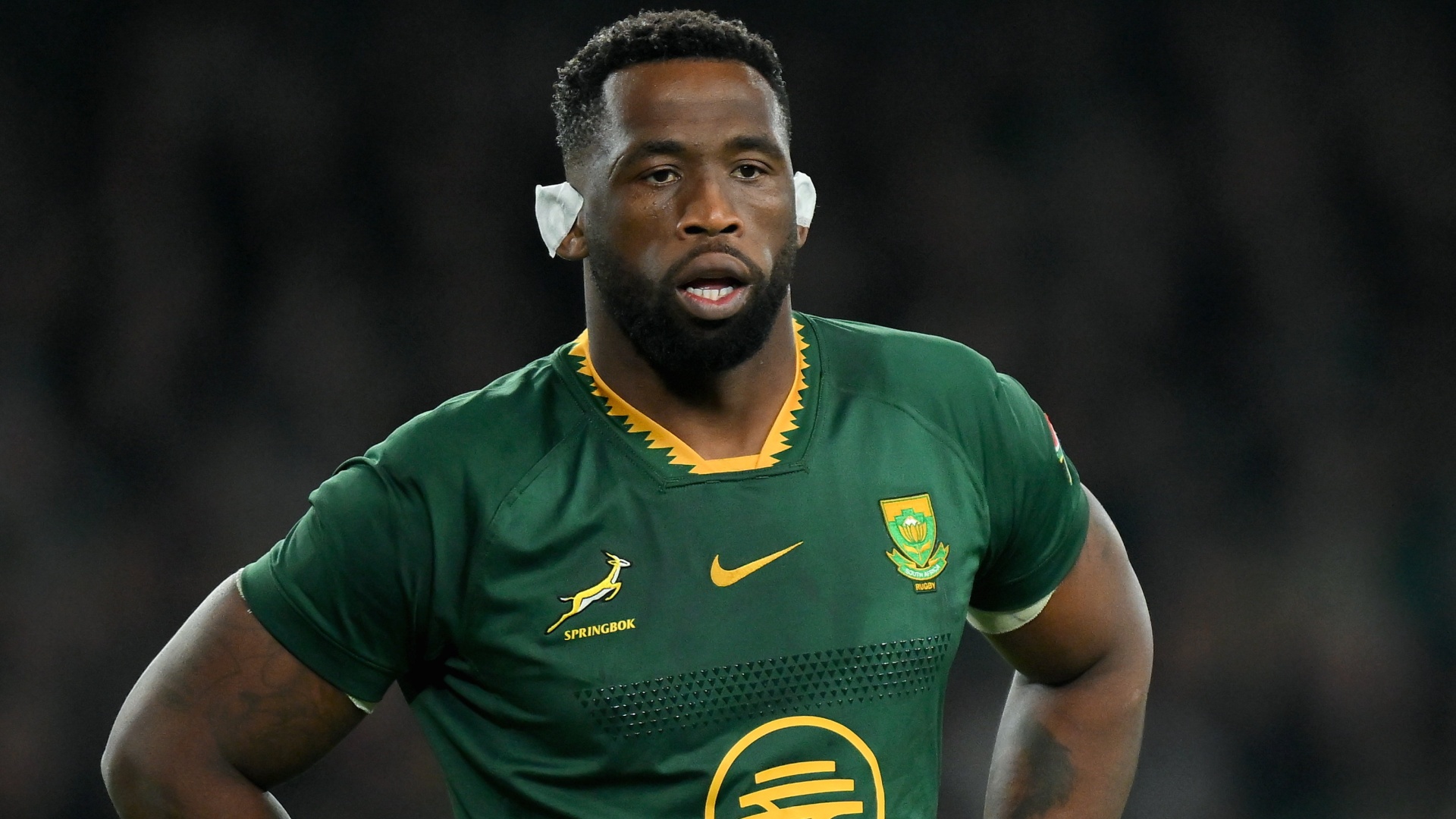 Springboks captain Siya Kolisi in action for South Africa