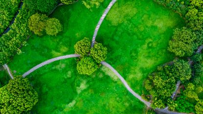 Aerial view of three paths in a park.