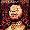 This Brazilian band had always been prepared to try new ideas, and here they found their true voice with a record that took as much from the indigenous tribal rhythms of Brazil as it did from extreme metal. And the result was stunning. Songs like Roots, Bloody Roots, Breed Apart and Ratamahatta are among the best examples of how the band took metal into exotic new areas. 
It's a shame that Max Cavalera left the band before this pioneering work came to fruition. Roots is an album of such diversity, range and acuity that it is possibly the most challenging and satisfying metal release of the decade.