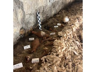 A photograph showing fragments of pottery on the floor of a tomb