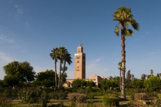 The Koutoubia Mosque minaret and palm trees in Marrakech.
