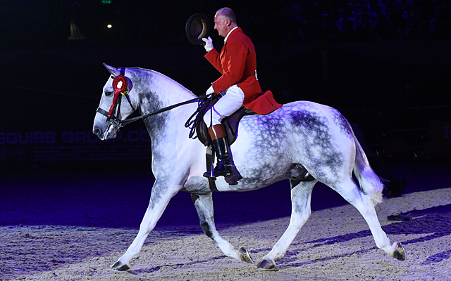 HorseNo1244_HOYS_PN16_3084