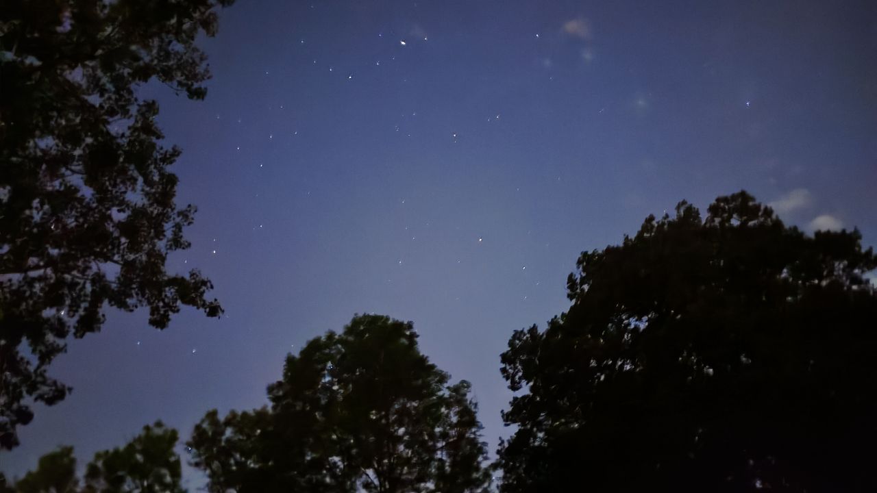 Vivo X80 Pro camera samples