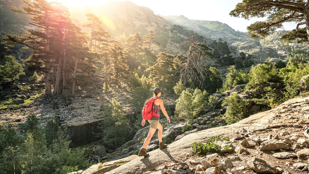 Folks hiking with the sun shining brightly.