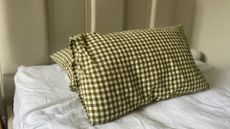 Norvegr Standard Collection Pillow in a pillowcase