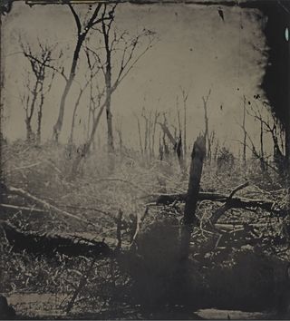 From the series Blackwater, 2008 – 12 Tintype