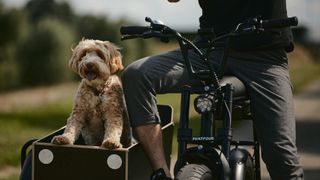 Dog riding in Phatfour e-bike sidecar