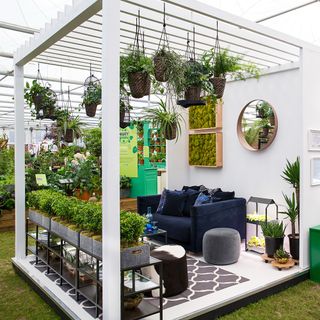 flower show with living room themed velvet sofa with potted plants