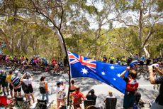 The peloton in action att the 2020 Tour Down Under