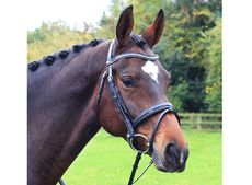 Classic-Dressage-Snaffle-Bridle-on-Bay-Horse-2.jpg
