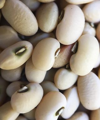 Fagiolina del Trasimeno black-eyed peas