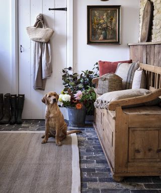 A dog sitting in a boot room hallway