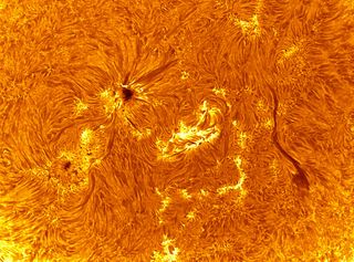 Active Region 1161