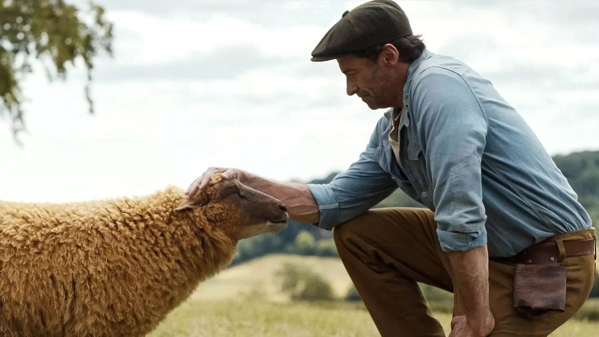 Hugh Jackman in The Sheep Detectives.