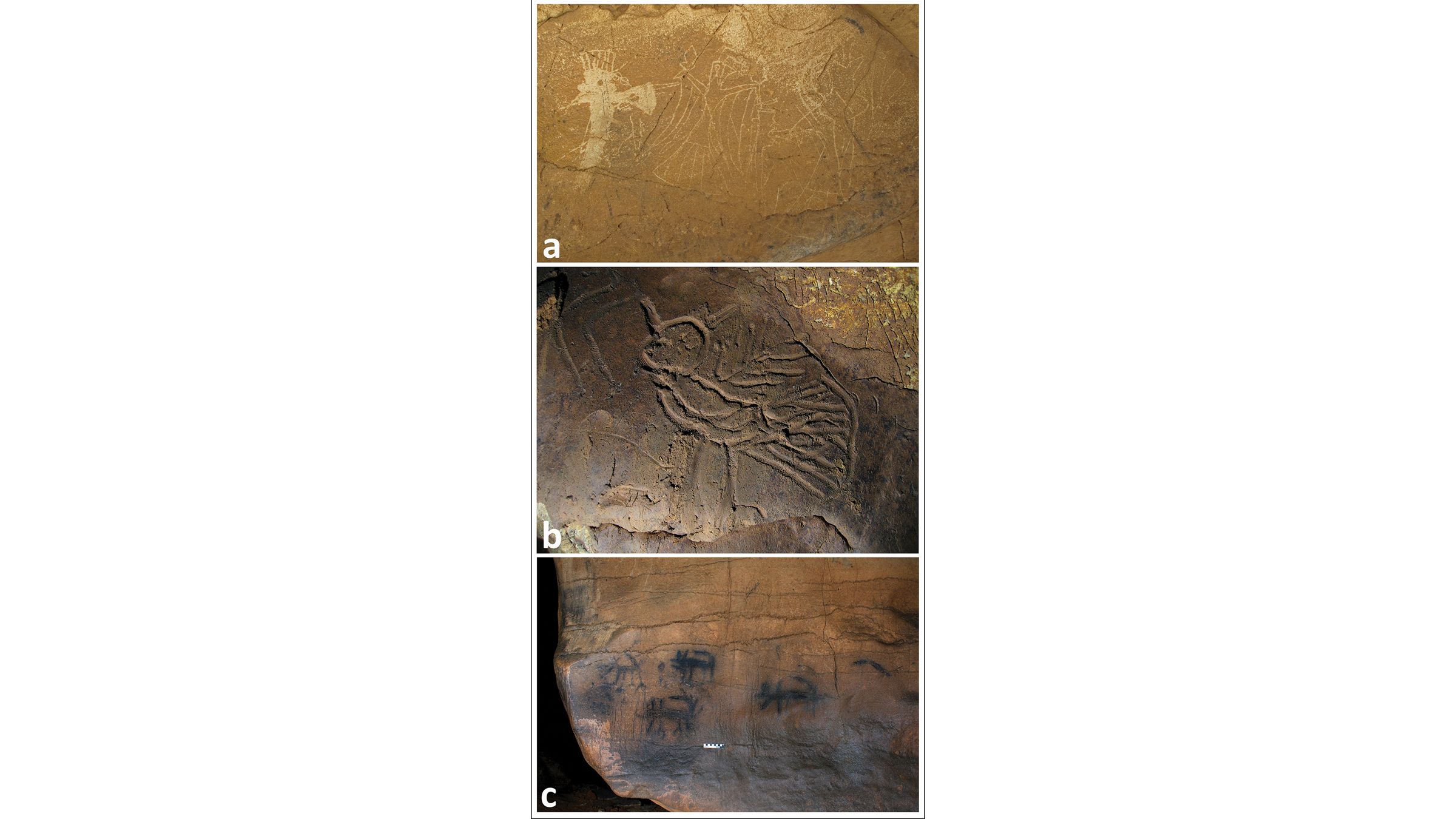 Photographs of (A) petroglyphs of birds and weapons from the 11th unnamed cave, (B) a mud glyph owl from Mud Glyph Cave, and (C) pictographs of canids from the 48th unnamed cave in Tennessee.