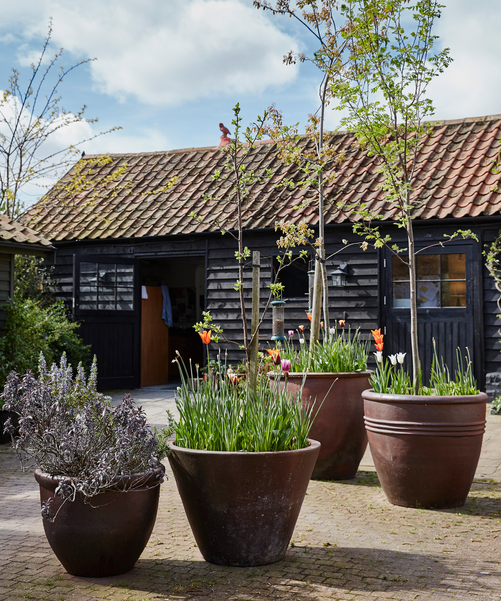 Large terracotta plant pots on a brick patio in front of a wooden building