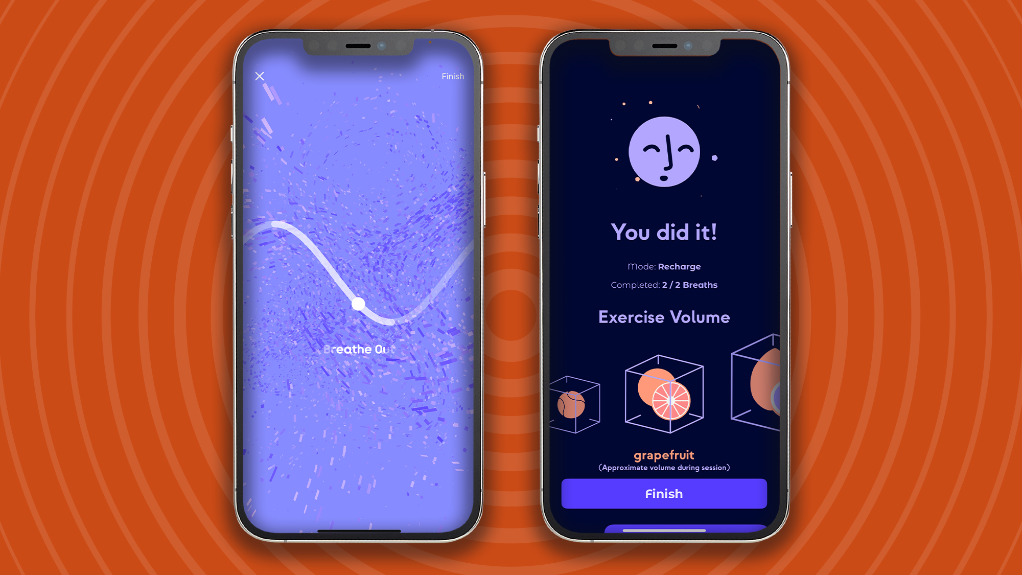 Lungy App