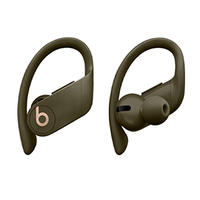Beats by Dr. Dre Wireless earphones: $249.99