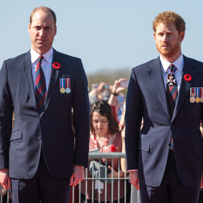 William and Harry were given 'important warnings' about royal life