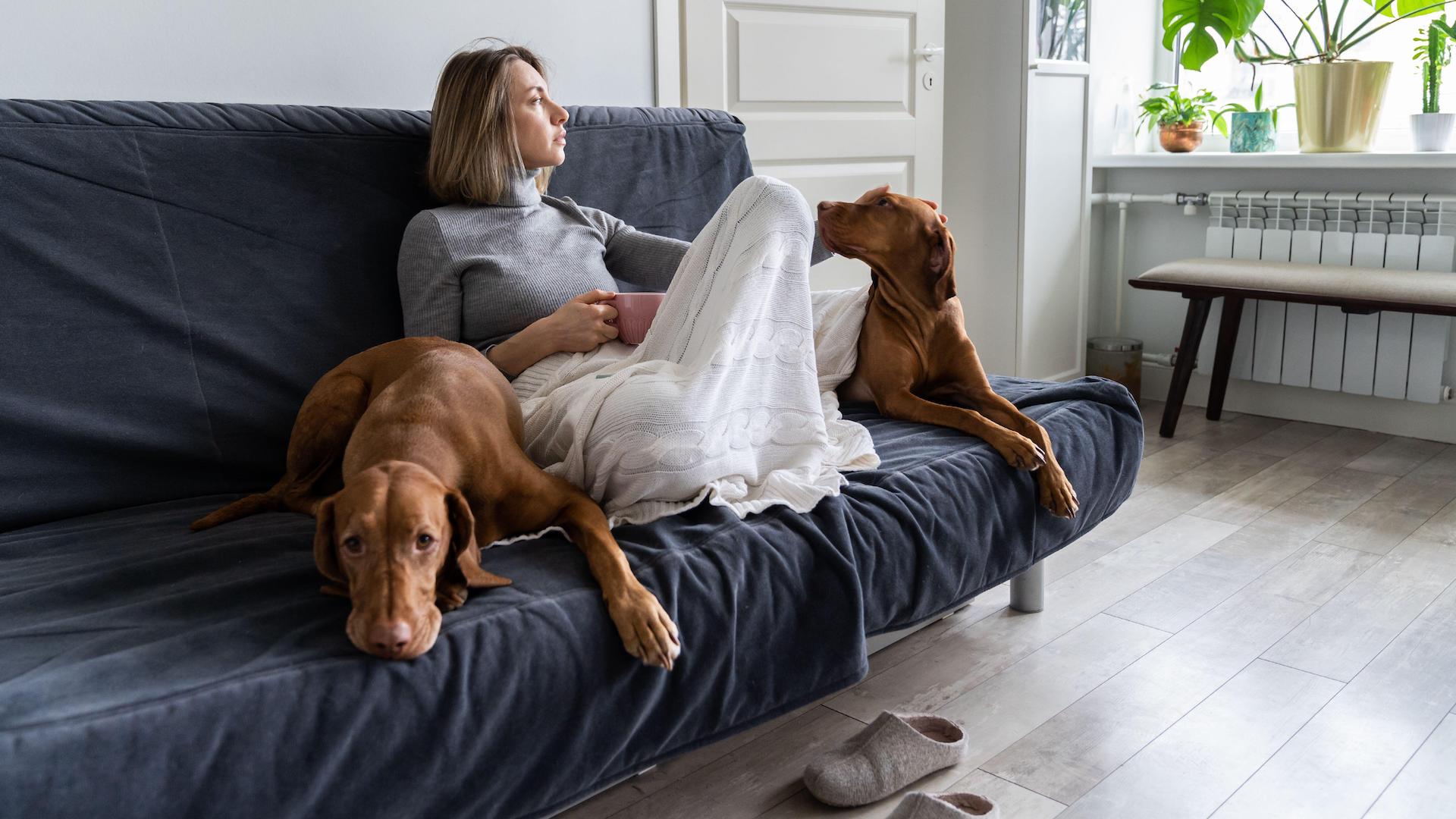 Woman sad, sitting on sofa with two dogs