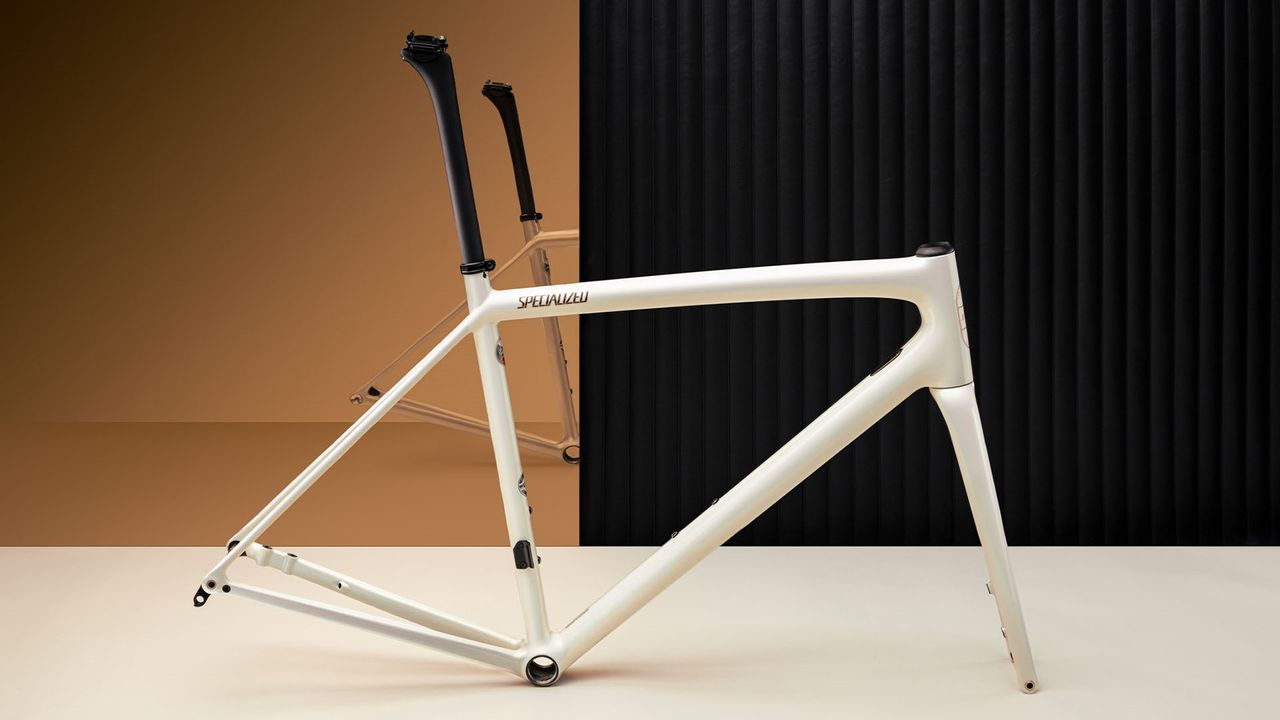 Specialized Sagan Collection Disruption