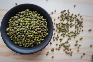 Low calorie green lentils