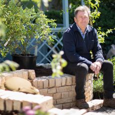 man with blue sweat shirt sitting on bricks and plant in pot