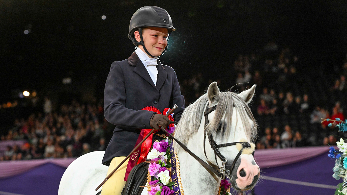 HorseNo931_HOYS_PN23_102395.jpg