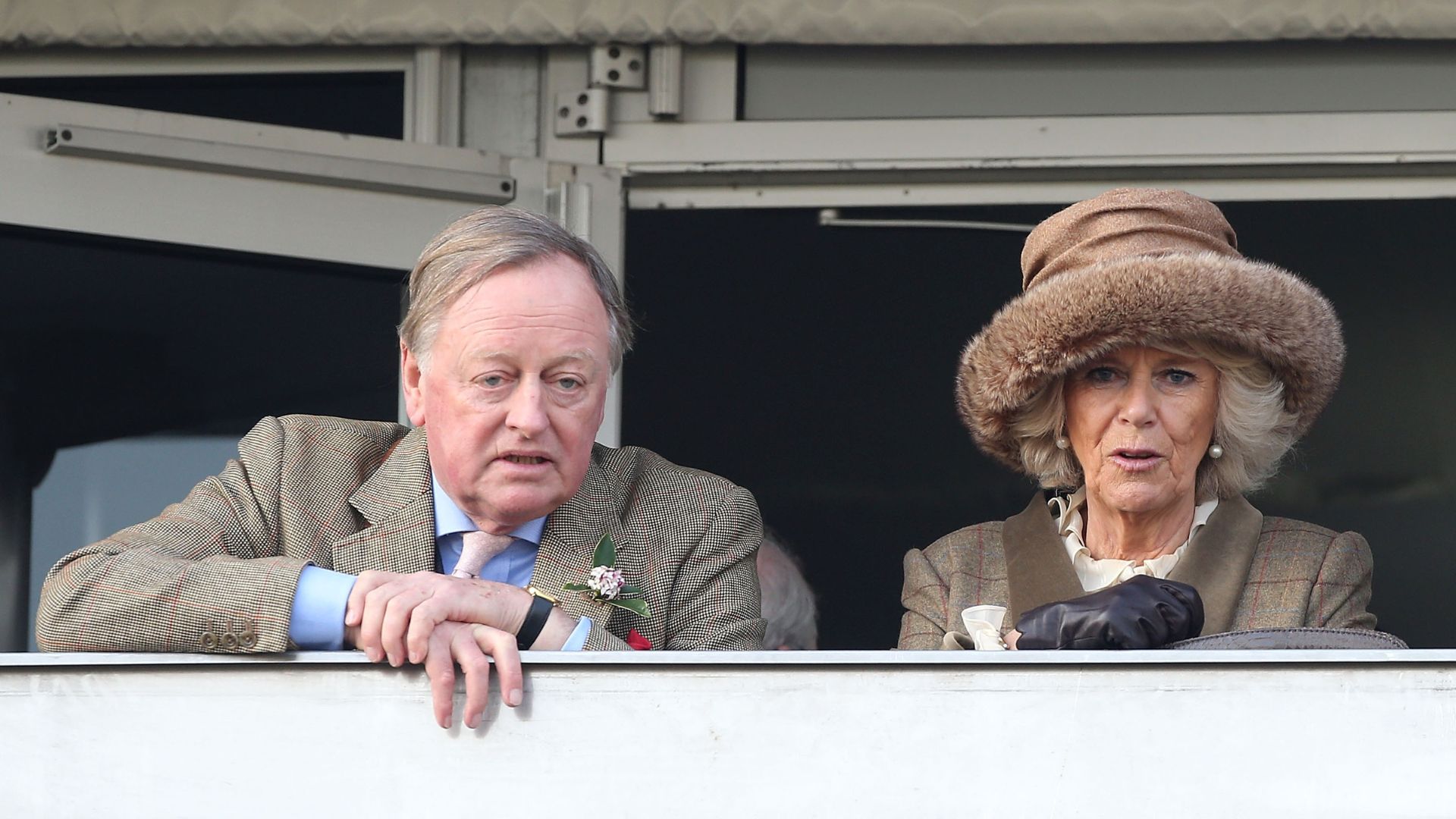 Andrew Parker Bowles and Queen Camilla attending the Cheltenham Festival in 2014