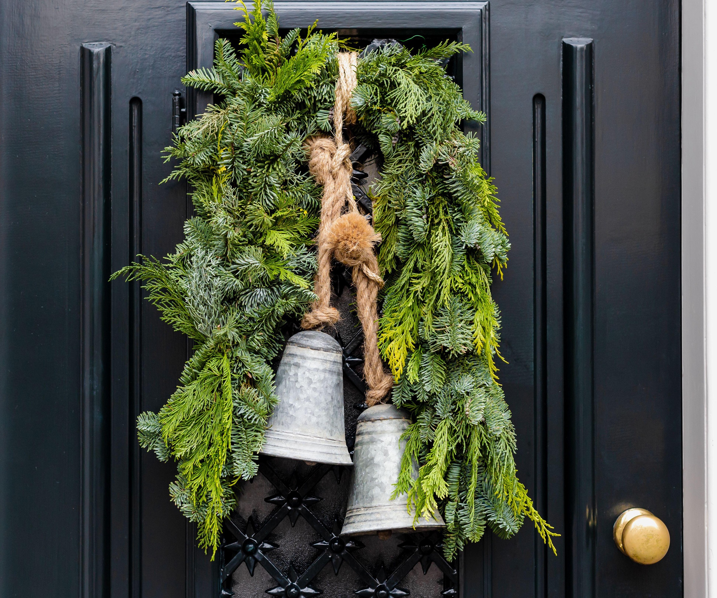 Fir spruce and conifer branches with bells