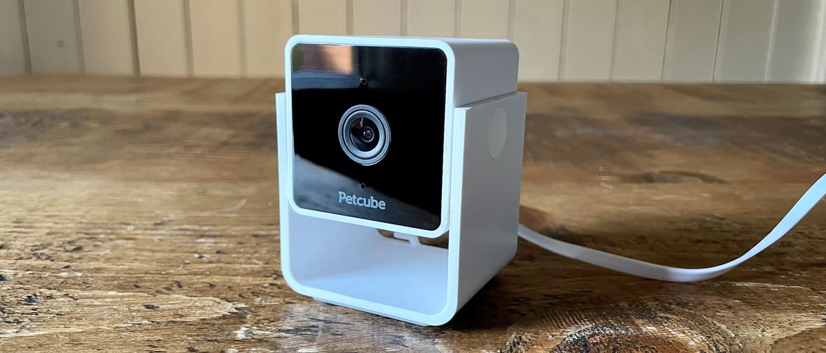 Petcube cam