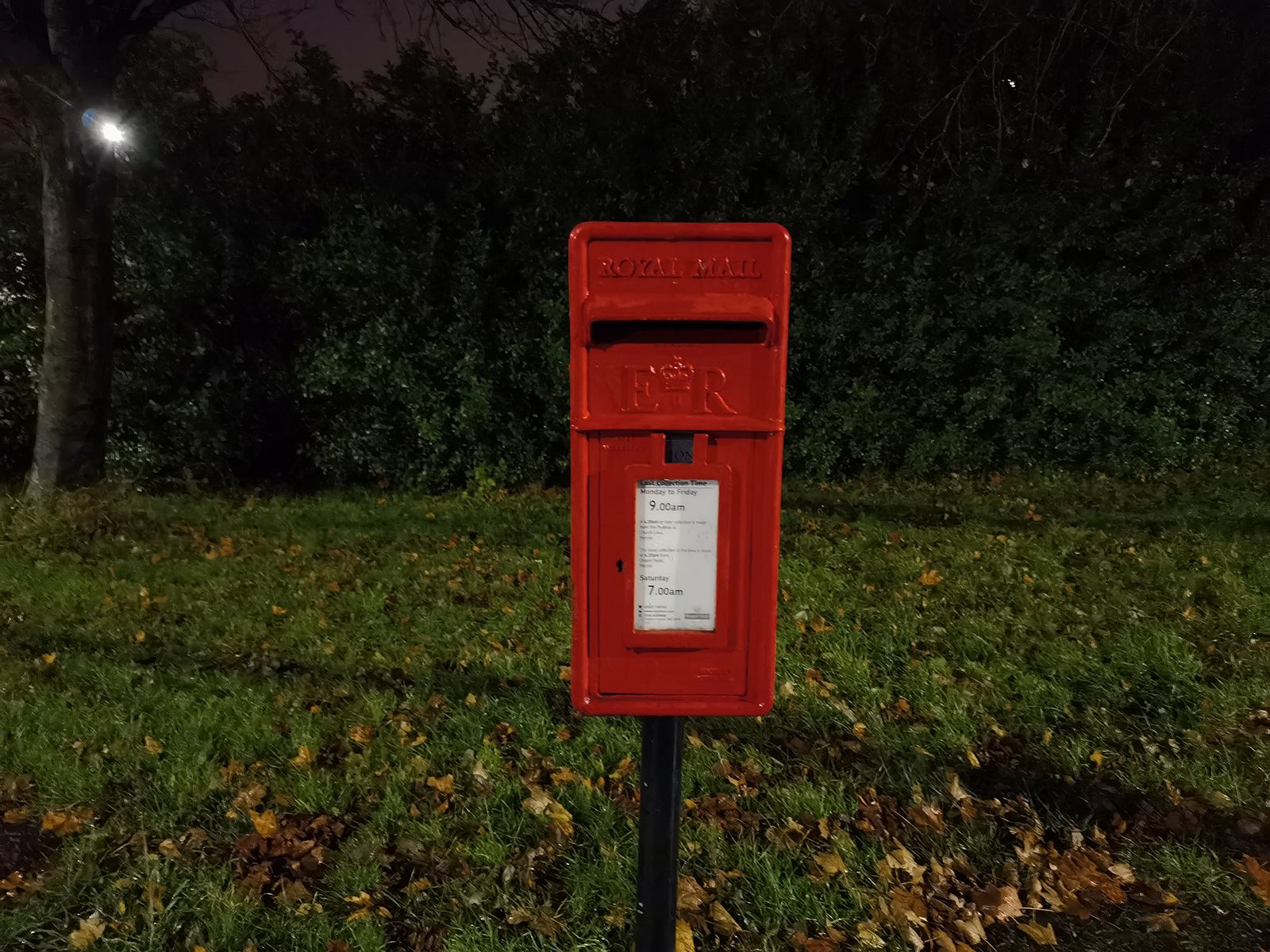 Huawei Mate 40 Pro camera sample