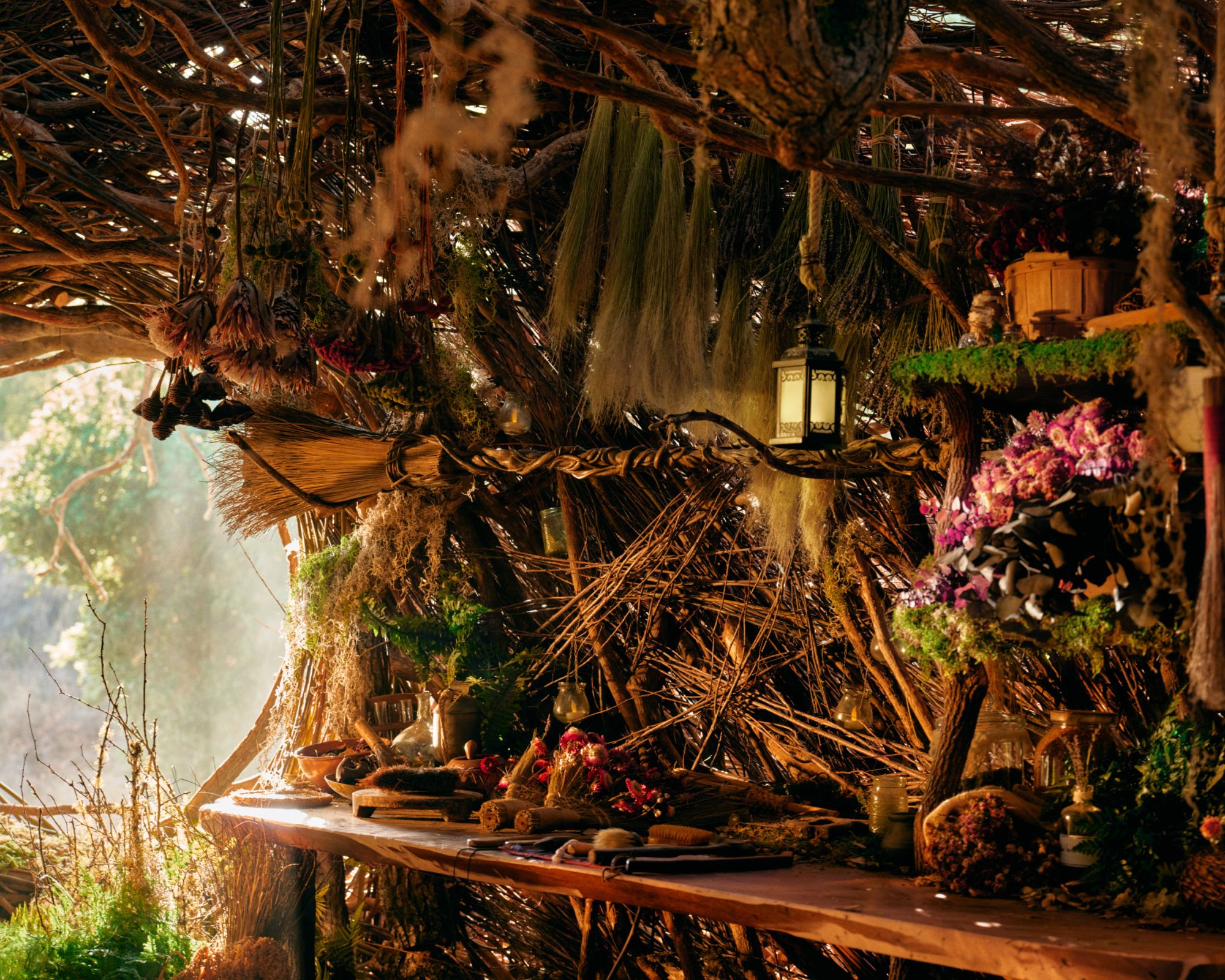 elphaba&#039;s treatreat from airbnb