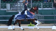 Lewis Carrier and Diego V win the grand prix at the National Dressage Championships.