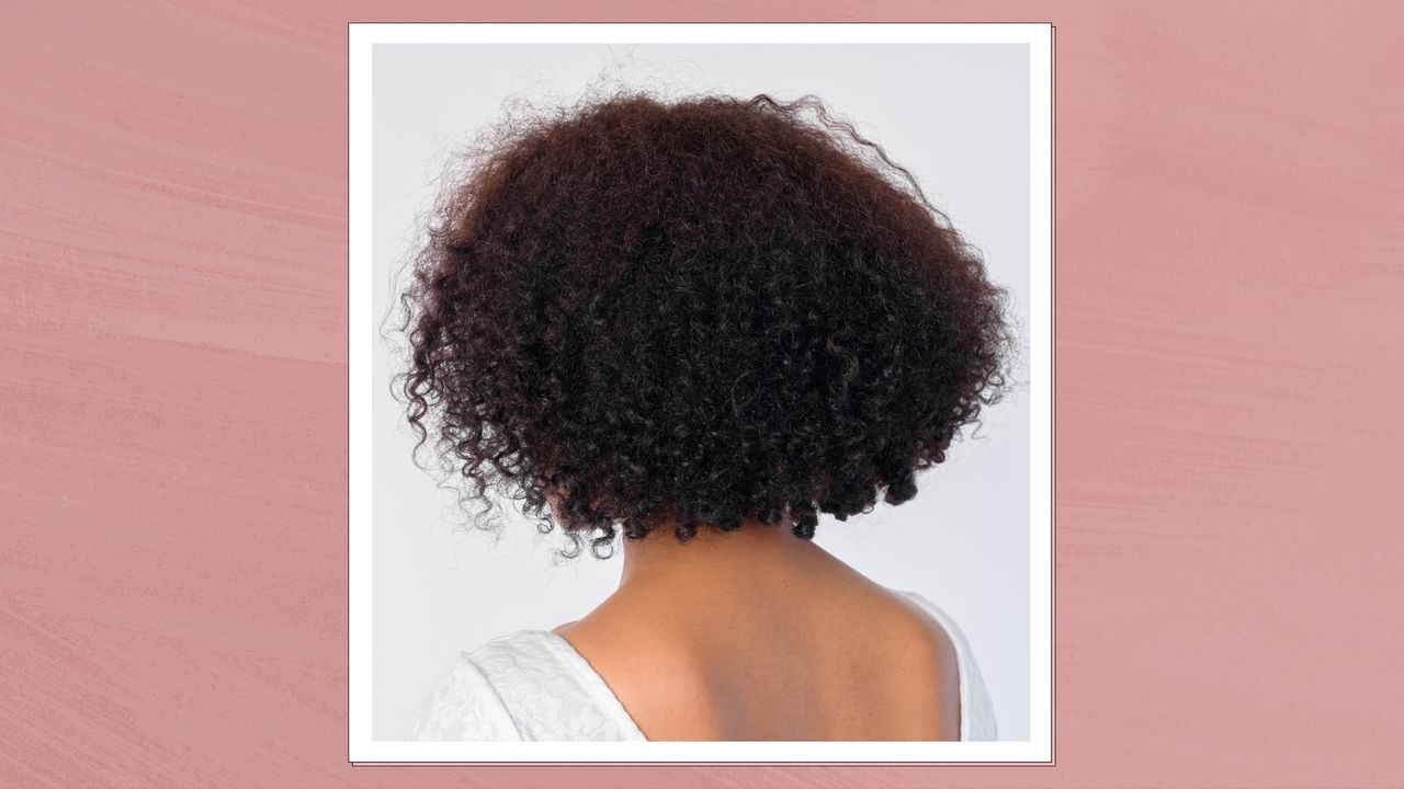 A close up of the back of a woman&#039;s head with curly Afro-textured hair/ in a pink template