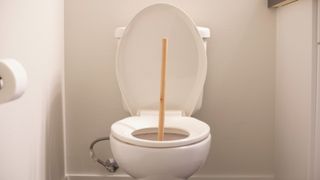 plunger sticking out of white toilet