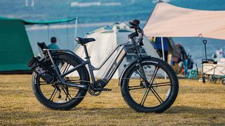 Fiido Titan e-bike parked at campground