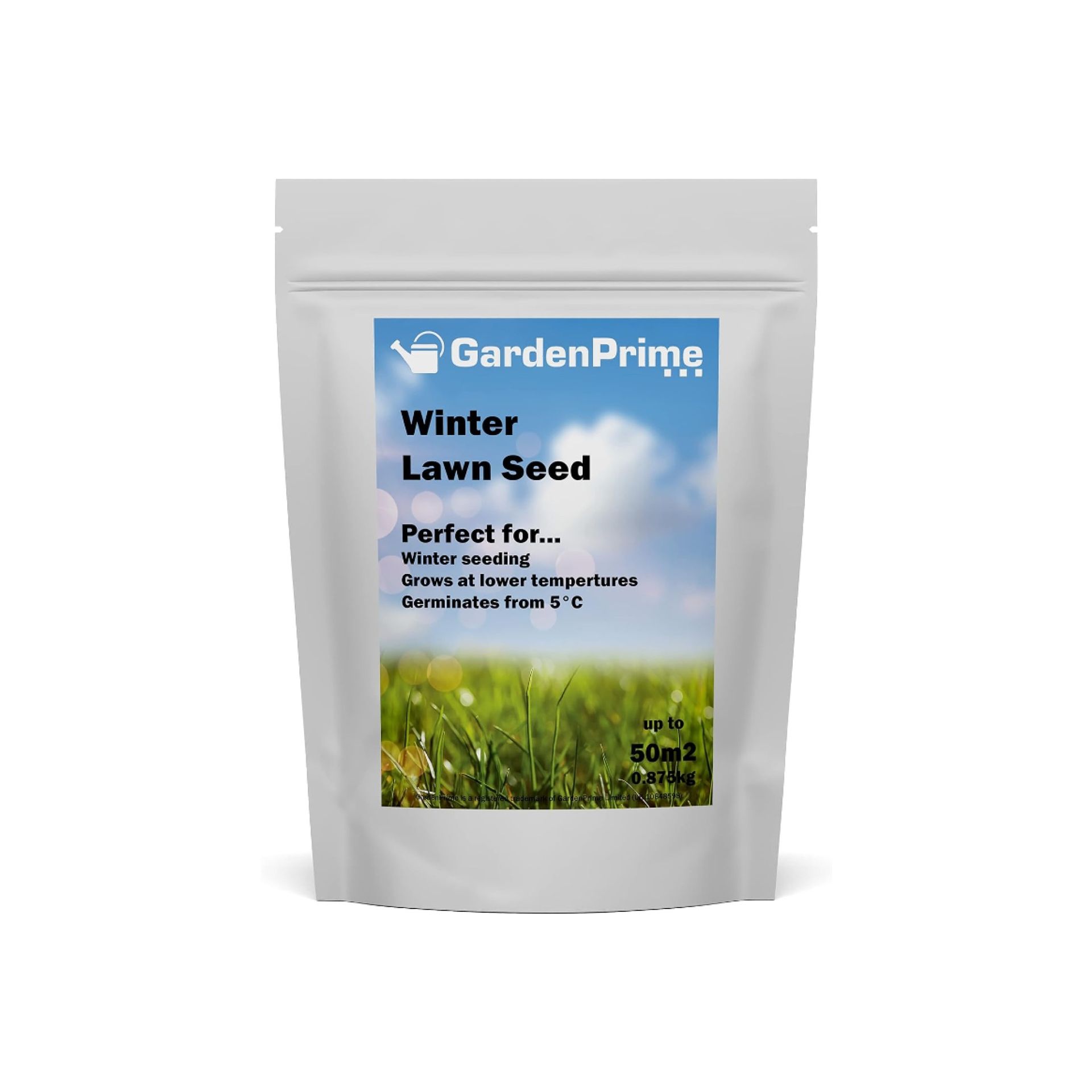 Does grass grow winter? This is how it can be done | Ideal Home