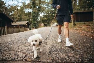 a person walking their dog at a parkdean resort