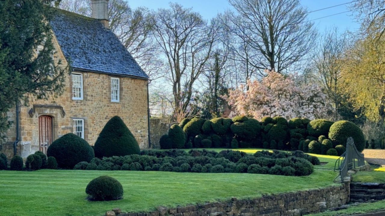 Cloud pruning of topiary, as carried out by Petra Hoyer Jones