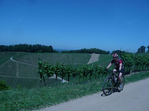 As with most 29ers, the Specialized Fate 29er rolls well on fireroads.
