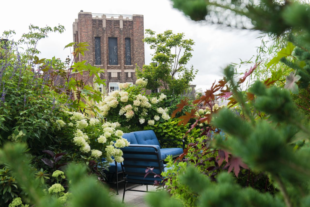 balcony garden with hydrangeas and a blue garden sofa