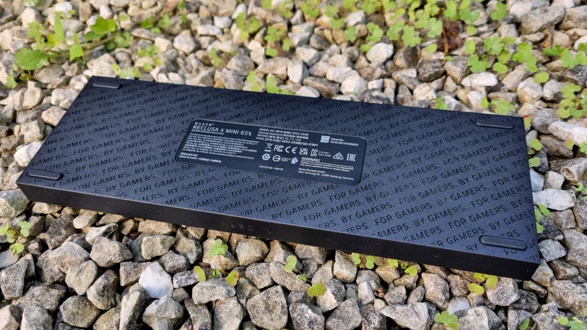 The rear of the Razer Reclusa X Mini 65%