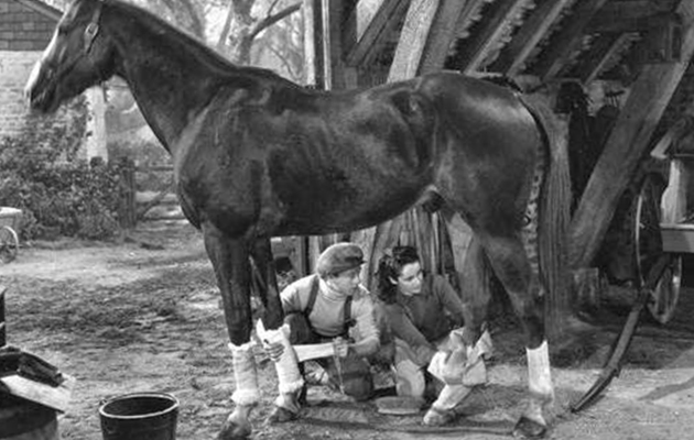 National-Velvet-LIFE-1945.jpg