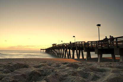 Venice, Fla.