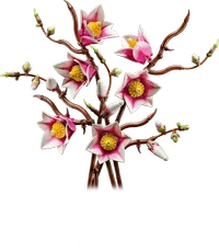 Magnolia Branches | View at Lego- Price: - Ages: - Pieces: - Minifigures: - Item number: Magnolia Branches | View at Lego- Price: - Ages: - Pieces: - Minifigures: - Item number: