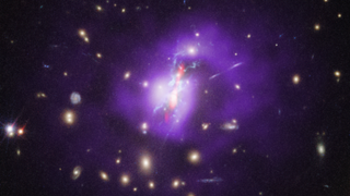 An image of the Phoenix cluster constructed with observations from the Hubble Space Telescope, Chandra X-ray Observatory, and the Very Large Array radio telescope.