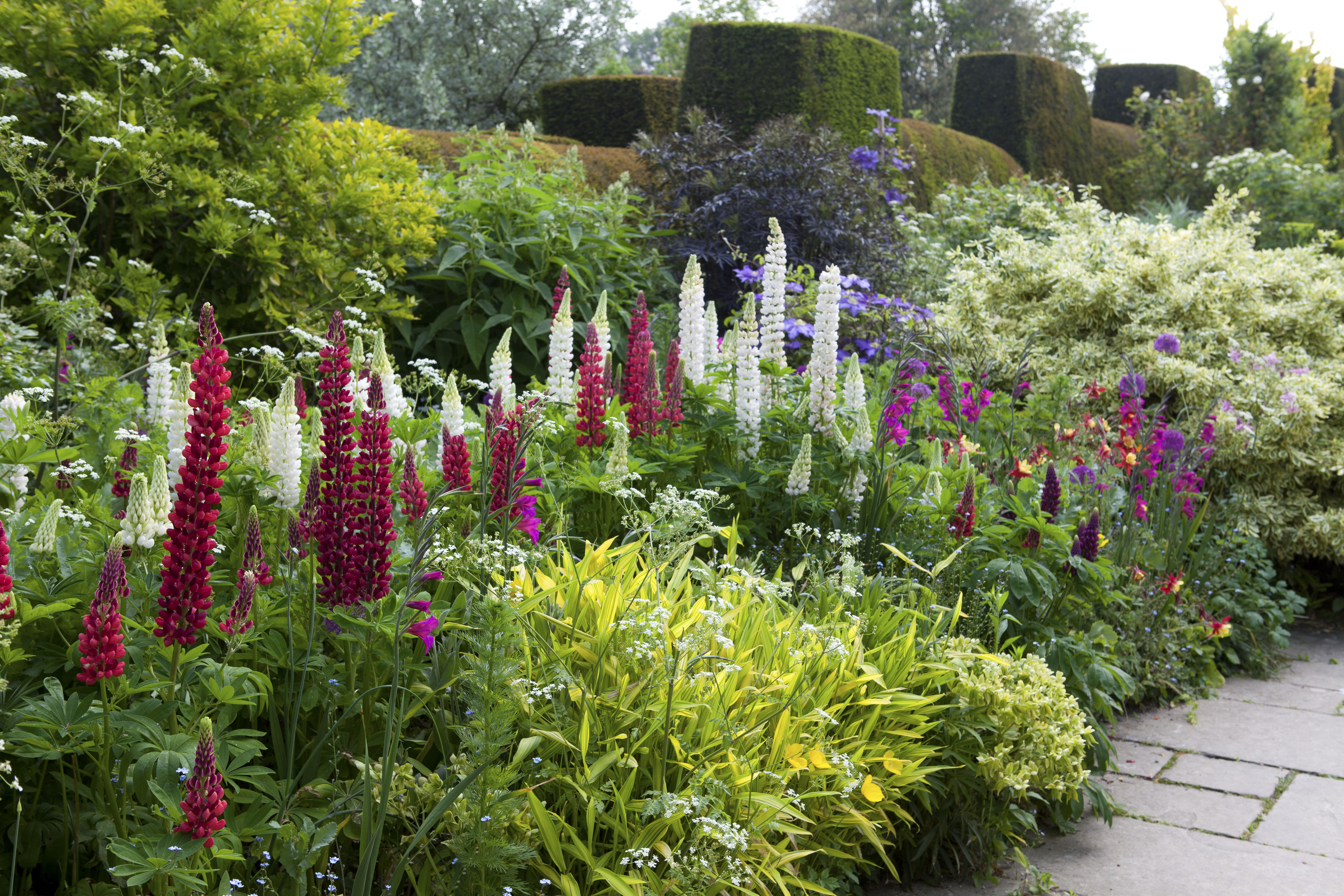 Garden borders 25 ideas for the perfect planting scheme  Real Homes