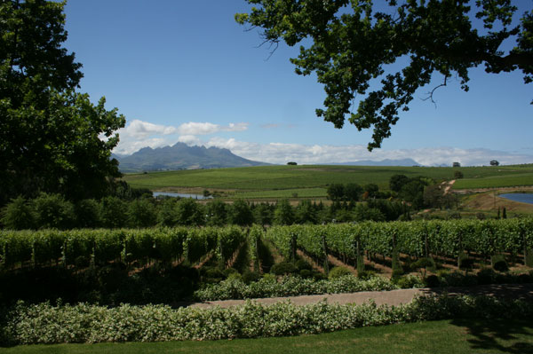 000009156-DeMorgenzon_Stellenbosch.jpg